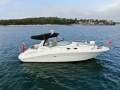 Sea Ray 375 Sundancer