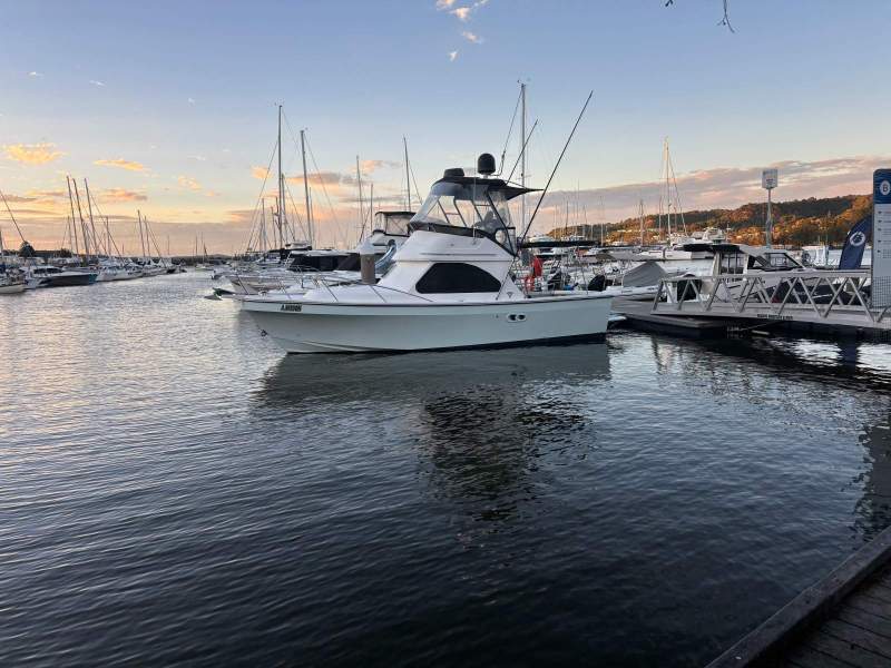 Deep V 310 Flybridge