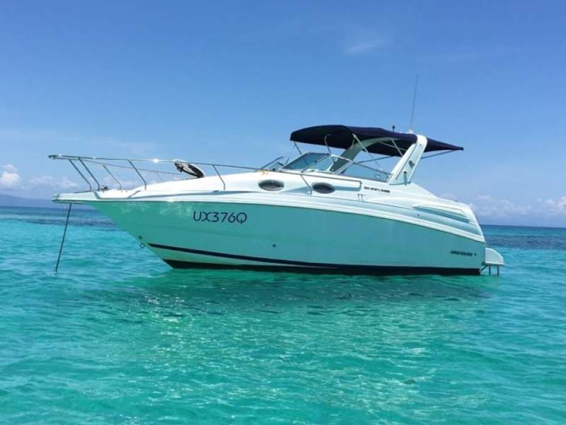 Mustang 2004 Project Boat with launching trailer included