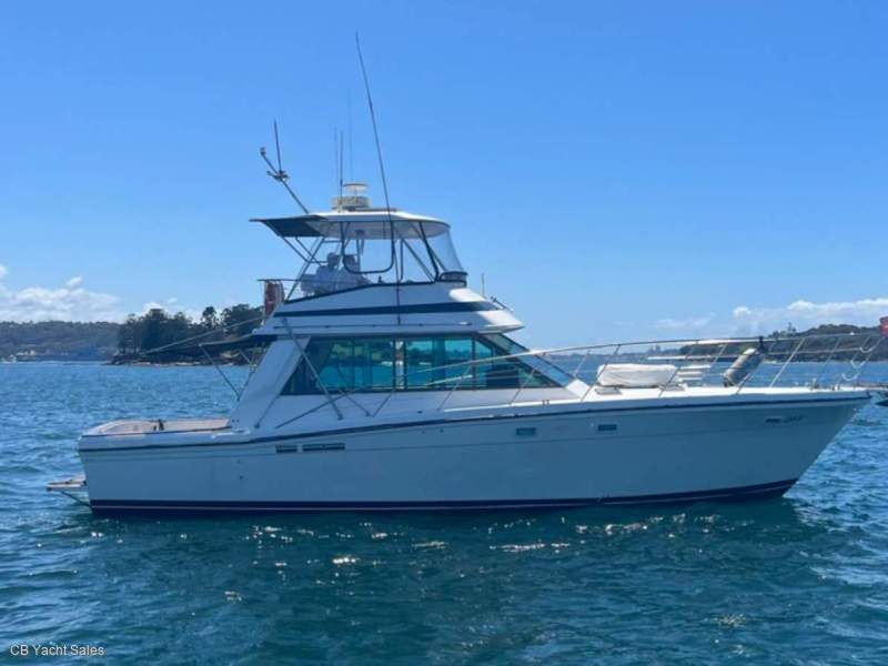 Riviera 44 Flybridge Charter Boat - AMSA Survey 2D (12 person & 2 crew)