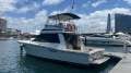 Riviera 44 Flybridge Charter Boat - AMSA Survey 2D (12 person & 2 crew)