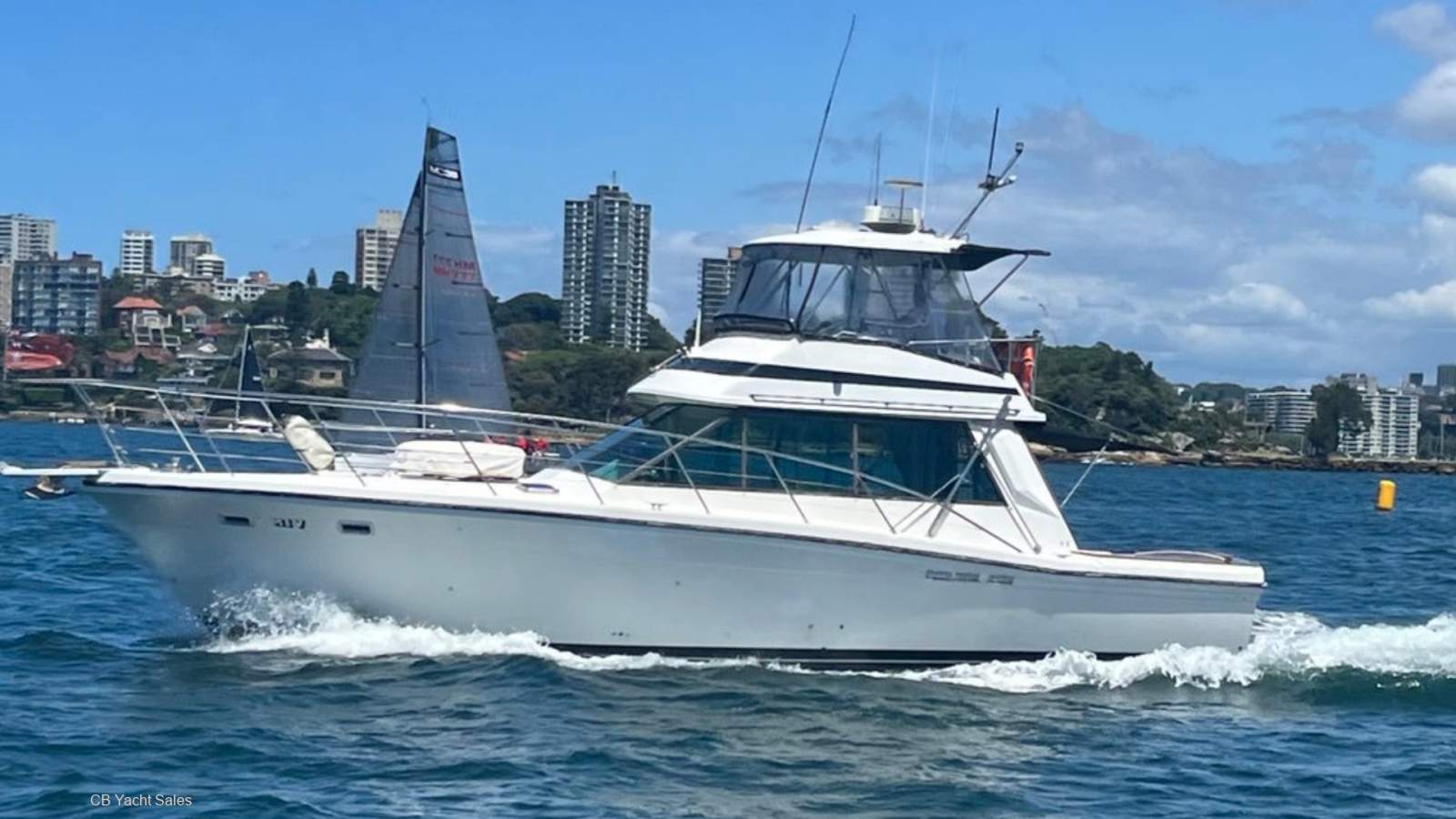 Riviera 44 Flybridge Charter Boat - AMSA Survey 2D (12 person & 2 crew)