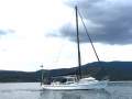Salar 40