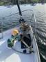 Salar 40