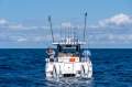 Aquila 36 Molokai - NEW SPORT FISHING MODEL