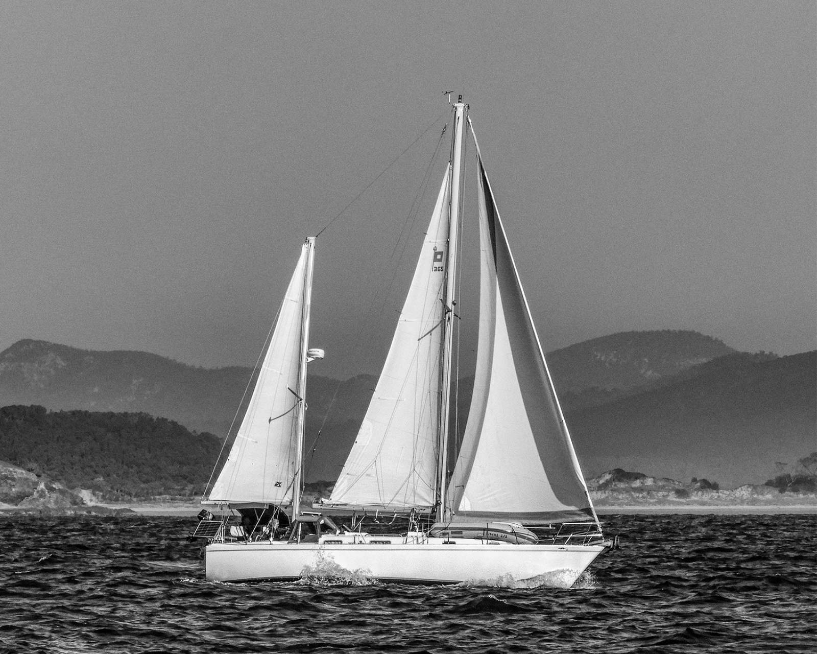 Pearson 365 Ketch