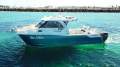 Sailfish 3000 Platinum Sports