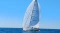Boatspeed Maxi Yacht 'Brindabella':4 Sydney Marine Brokerage Brindabella Commercial Race Yacht For Sale