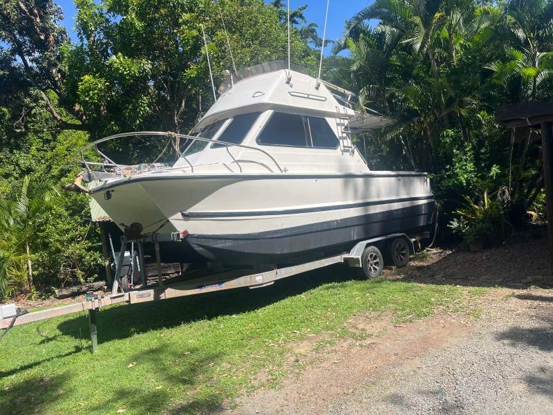 Shark Cat 700 Flybridge