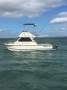 Shark Cat 700 Flybridge