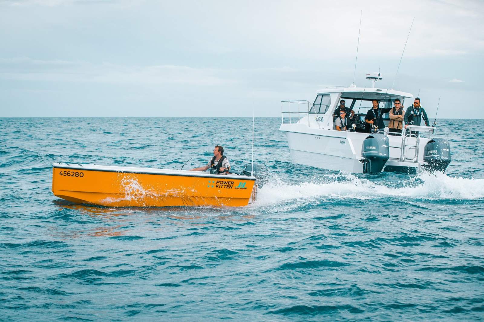 Shockwave Powercat Power Kitten