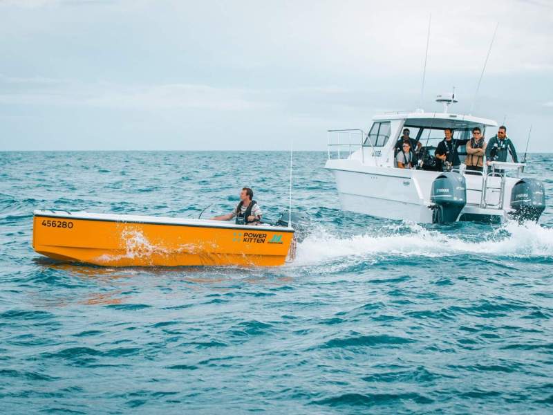 Shockwave Powercat Power Kitten