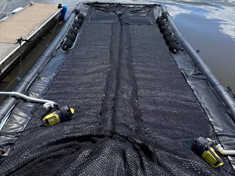 Sea Pen 8,5*3 / 2024