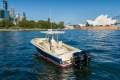 Chris Craft Catalina 29 Express