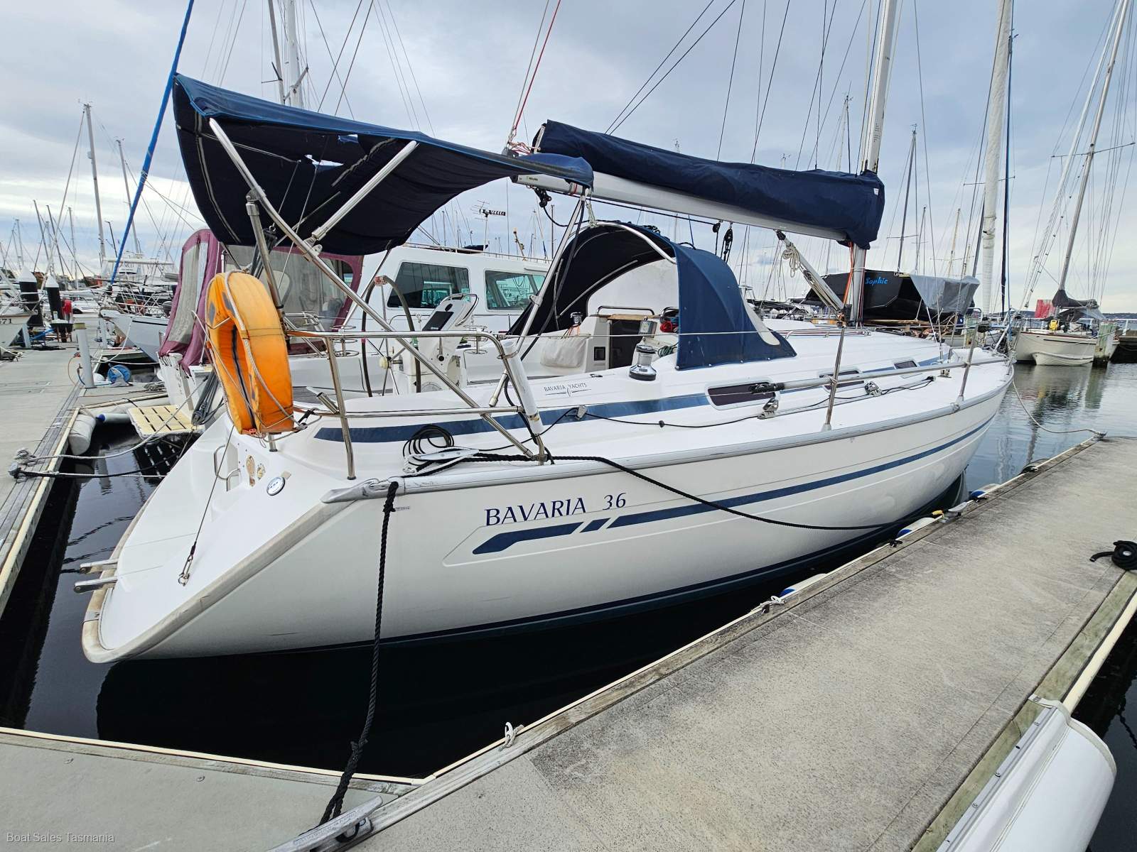 Bavaria 36 "Greenwich"