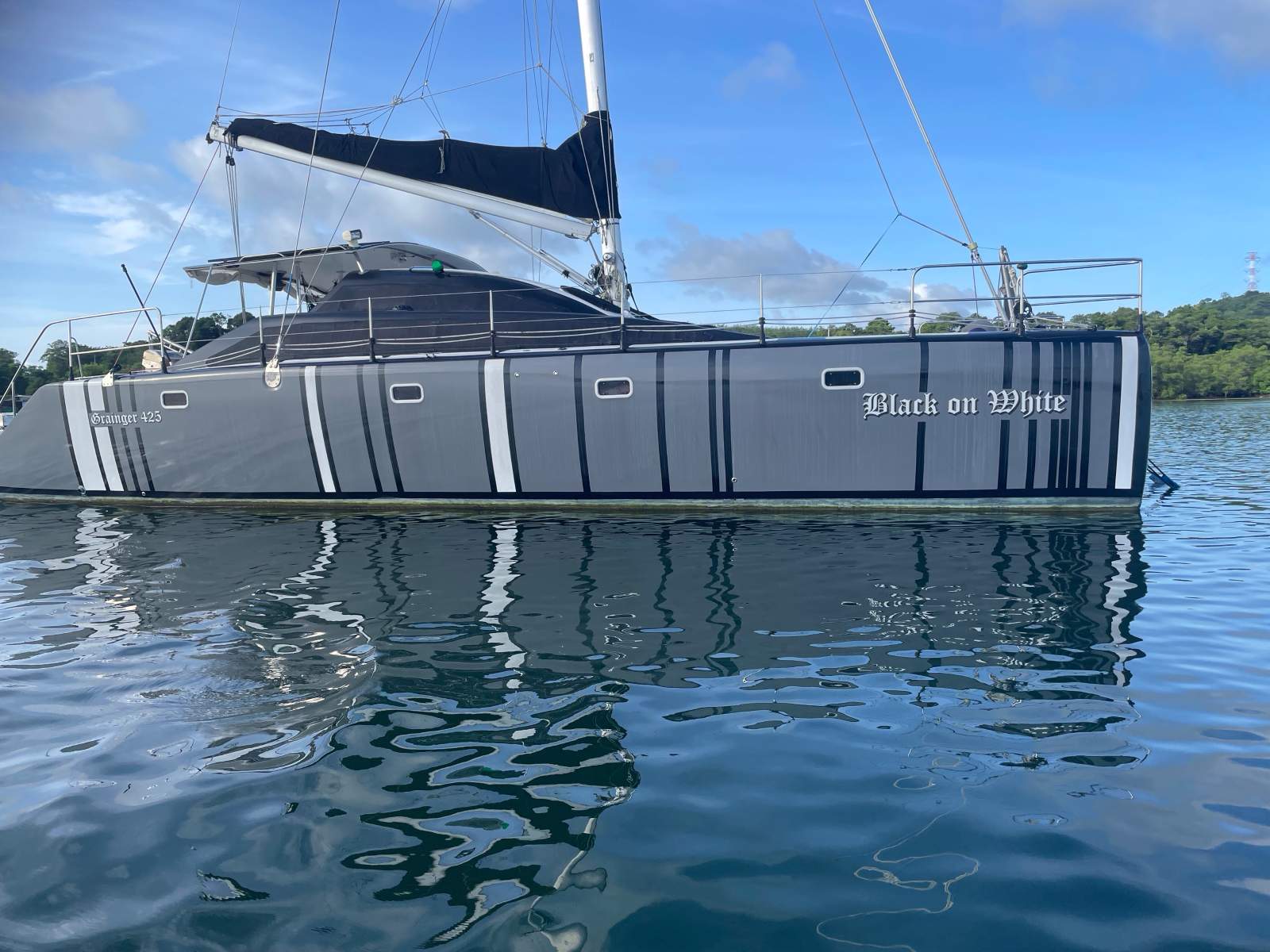 Grainger Mystery Cove 425