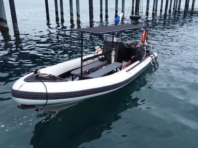 Naiad 9.0 Dive and Tour boat in survey