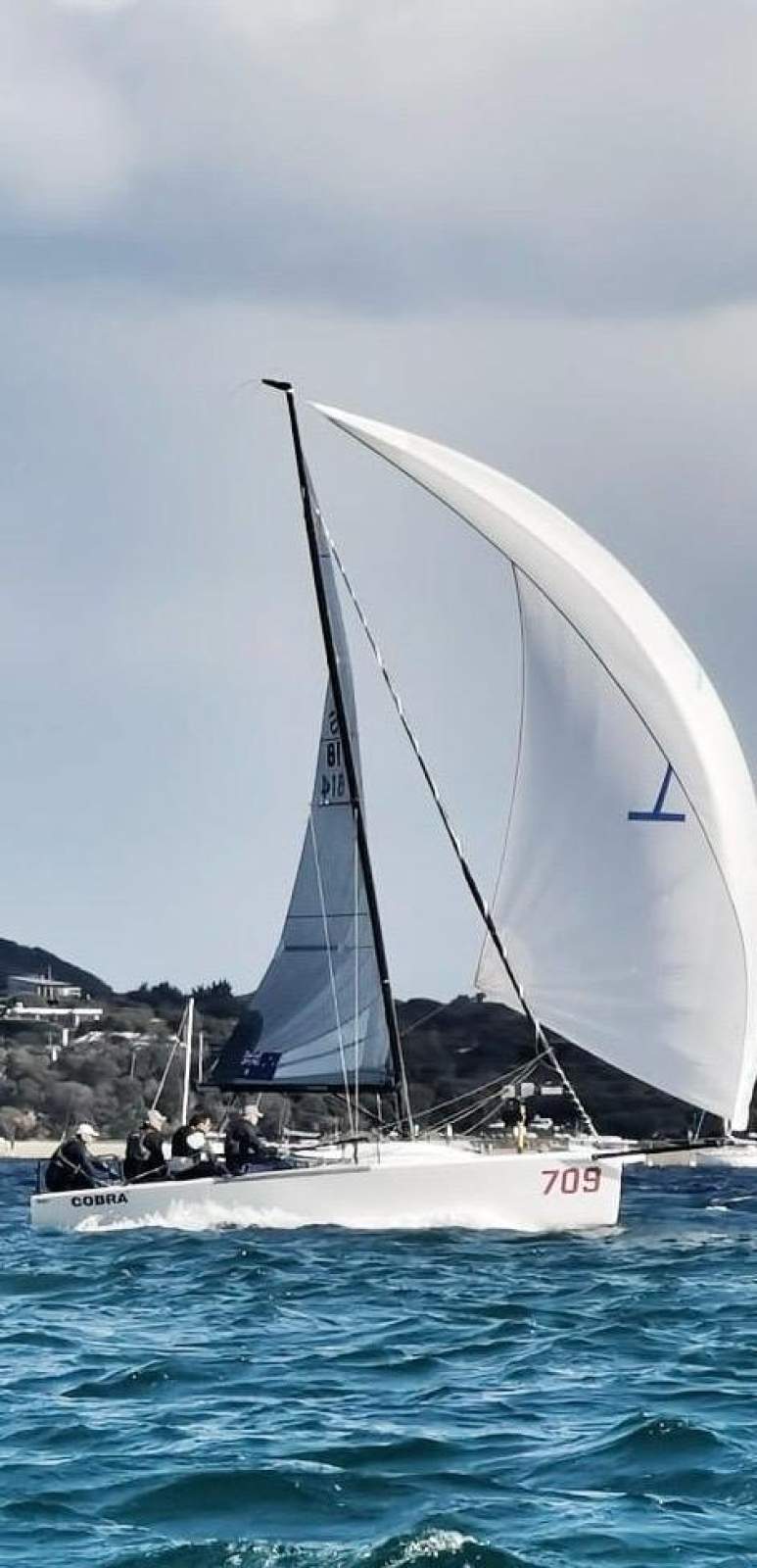 Melges 24