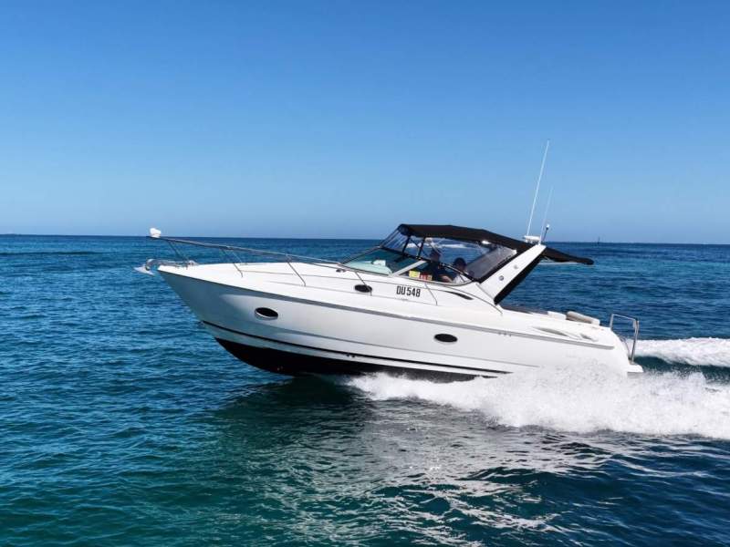 Sunrunner 3100 Sport Cruiser