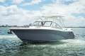 Sea Fox 288 Traveler