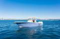 New Sea Fox 288 Commander
