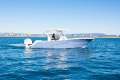 New Sea Fox 288 Commander