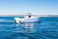 New Sea Fox 288 Commander