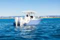 New Sea Fox 288 Commander
