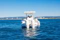 New Sea Fox 288 Commander