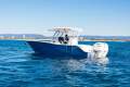 New Sea Fox 288 Commander