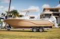 New Sea Fox 248 Commander