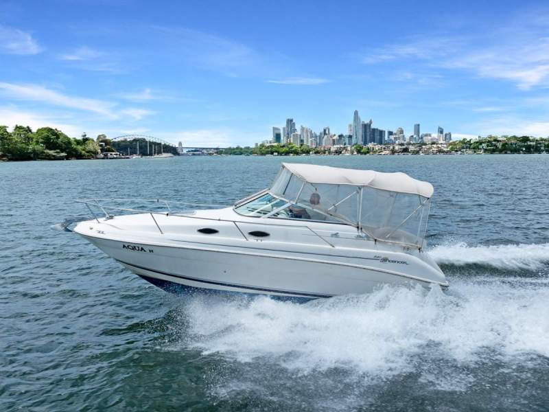 Sea Ray 240 Sundancer