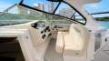 Regal 33 XO 2023 Regal 33 XO Hardtop - Twin Yamaha 300HP