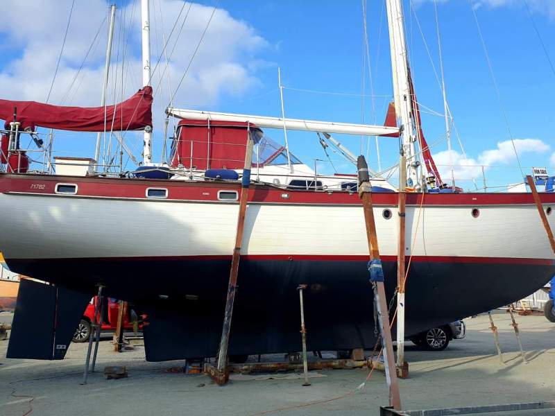 Transpac 49