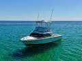 Bertram 28 Flybridge Low Hours Great Condition