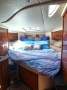 Sea Ray 310 DA
