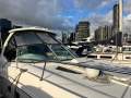 Sea Ray 310 DA