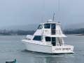 Precision Cruisers Precision 50 PRECISION 50 ENCLOSED FLYBRIDGE CRUISER