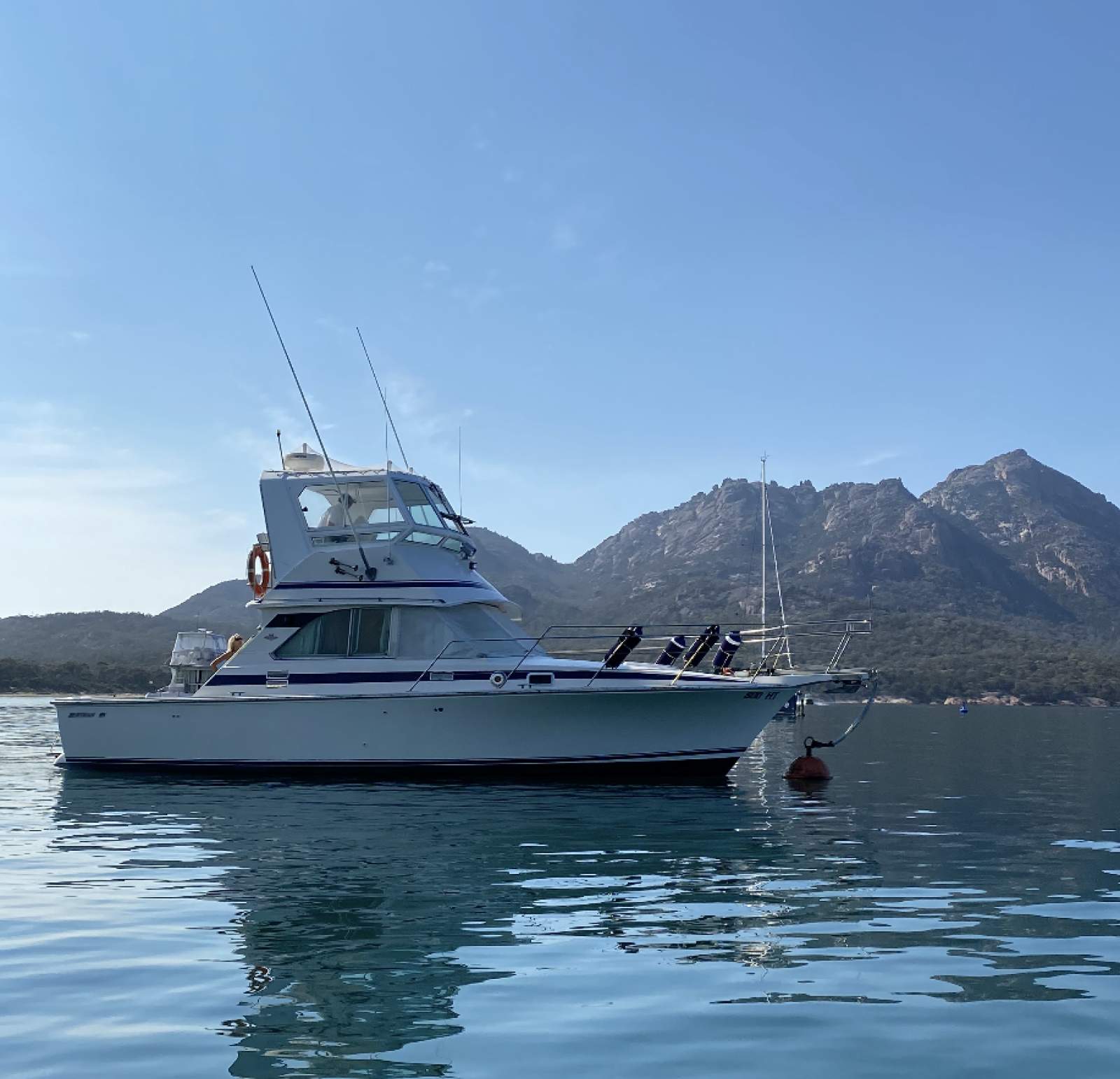 Bertram Caribbean 35 "PERIGNON"