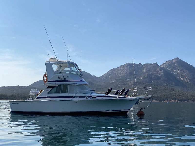 Bertram Caribbean 35 "PERIGNON"