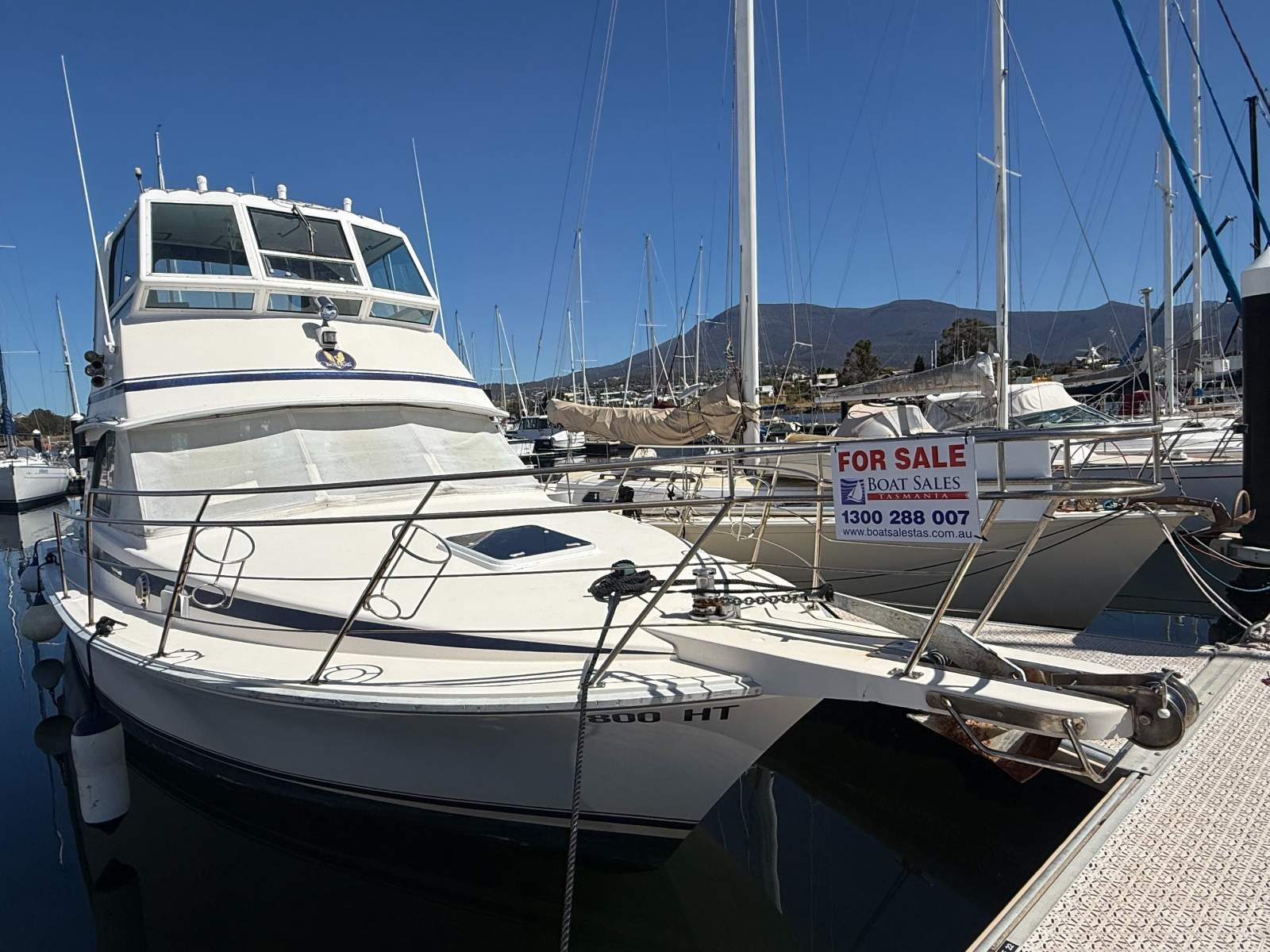 Bertram Caribbean 35 "PERIGNON"