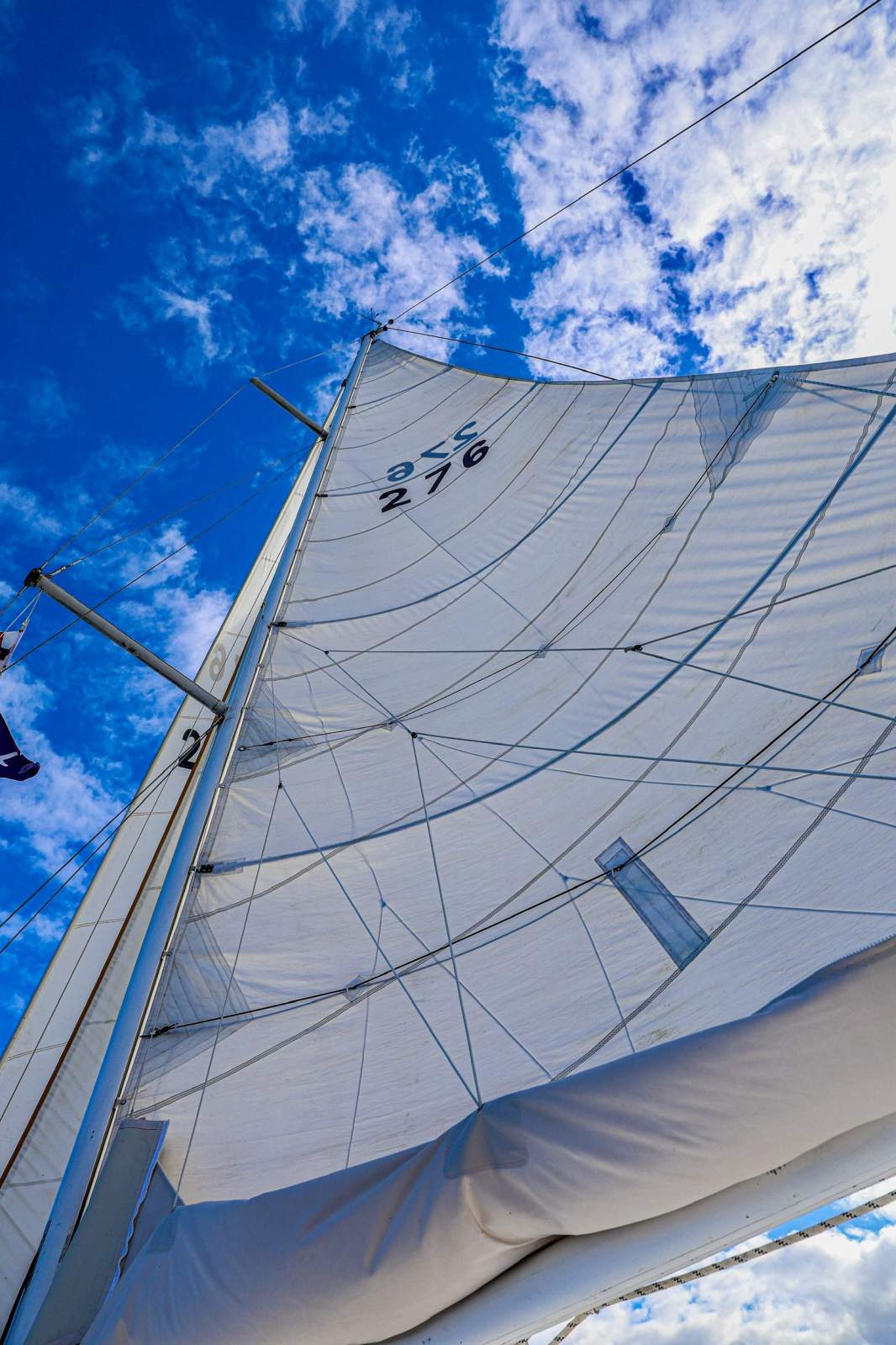 Max Creese Huon Pine 39 Pilothouse Cutter White Star &ndash; The Quintessential Tasmanian Yacht