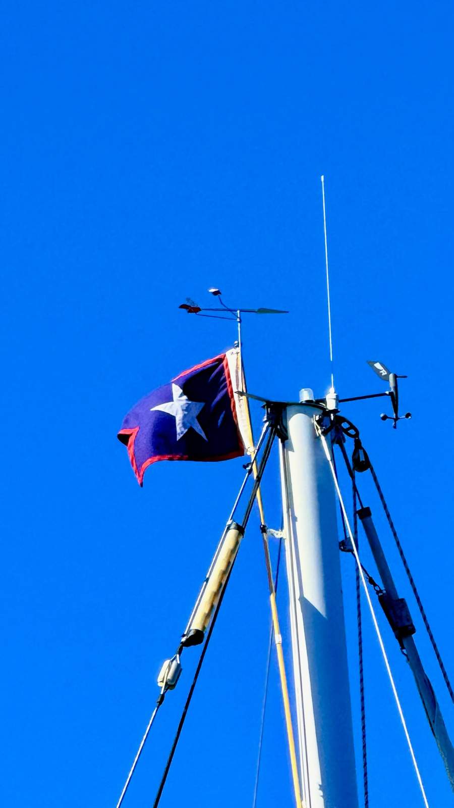 Max Creese Huon Pine 39 Pilothouse Cutter White Star &ndash; The Quintessential Tasmanian Yacht