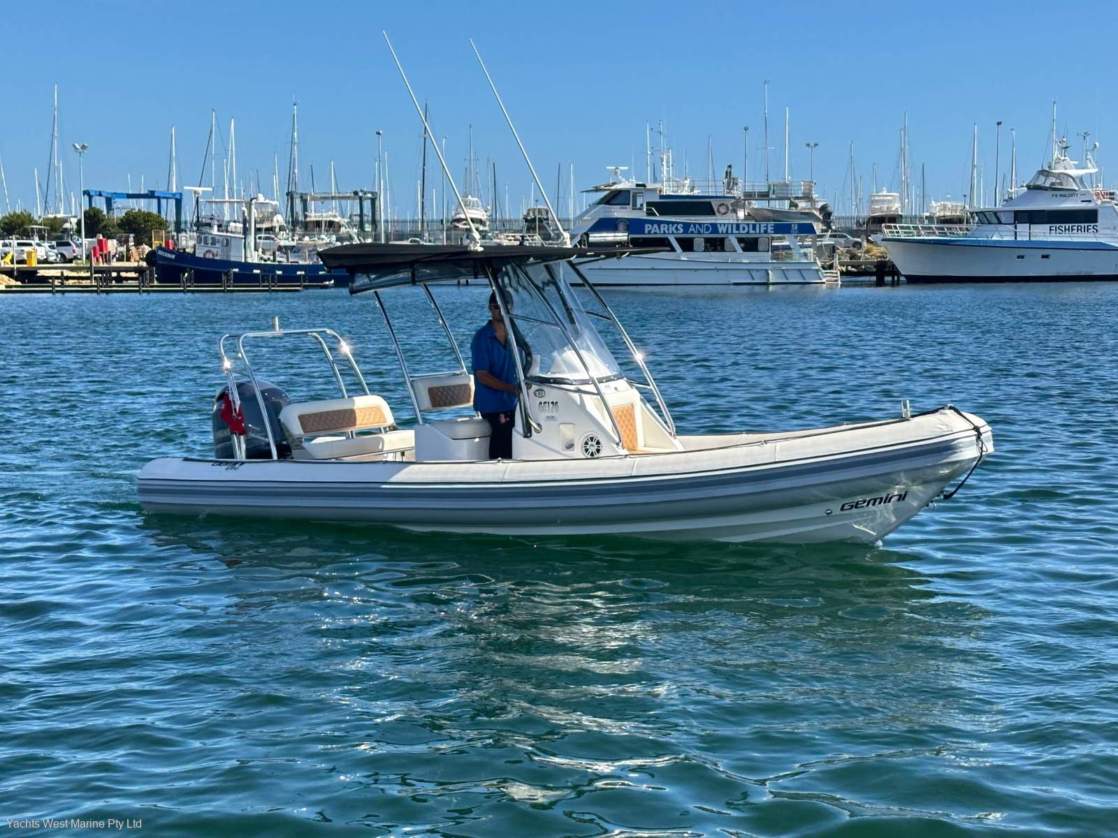 Gemini Elite 650 " BOAT HOUSE STORAGE ":GEMINI 650 ELITE by YACHTS WEST ph 9335 7788