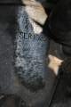 Napier-Deltic Marine:B Cylinder - ENG 490