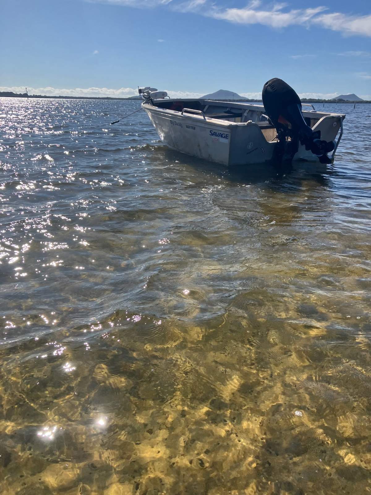 Savage 425 Big Daddy