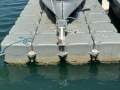 Polly Modular Floating Dock
