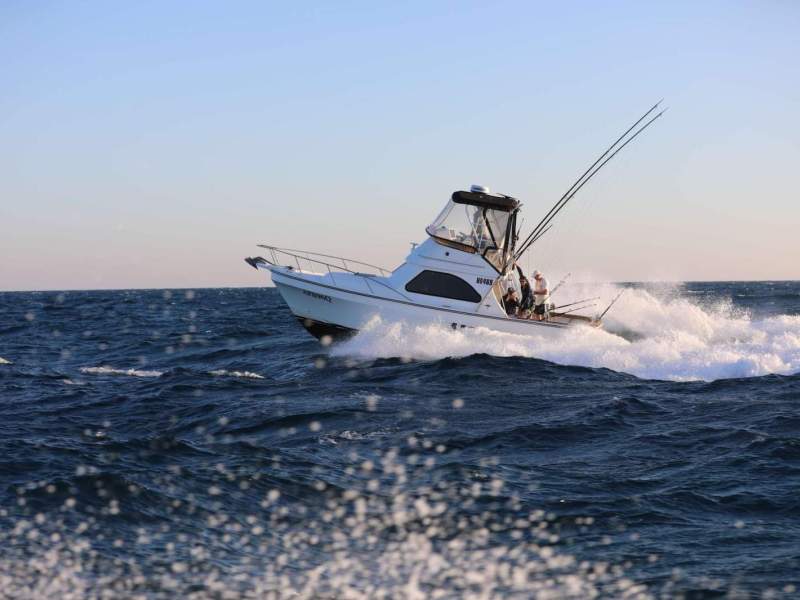 Deep V 310 Flybridge