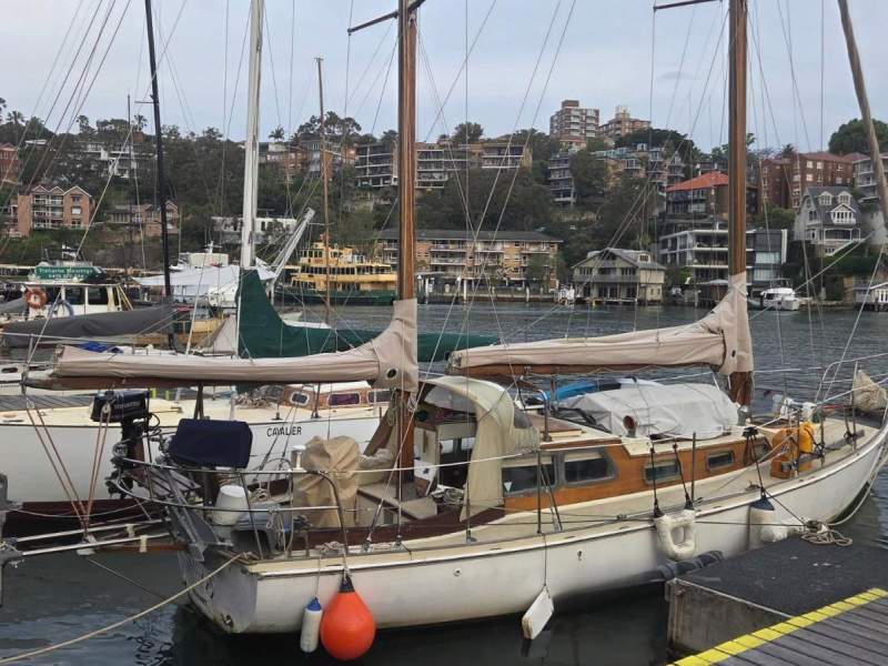 Woollacott Ladybird 34