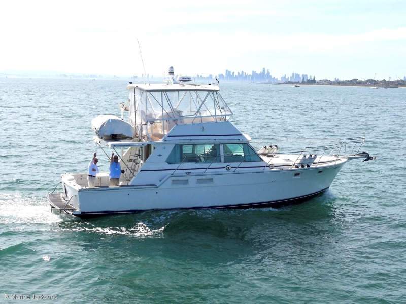 Bertram Caribbean 42